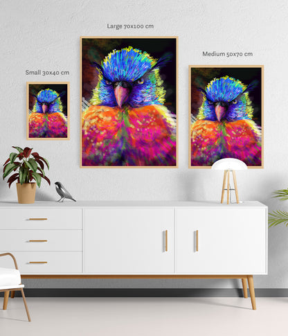 The fancy parrot