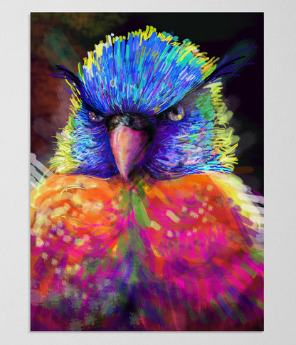 The fancy parrot